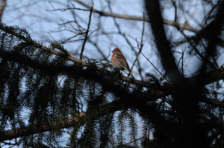 f:id:joojtv:20101212173817j:image