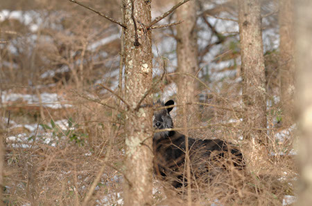 f:id:joojtv:20101212174036j:image