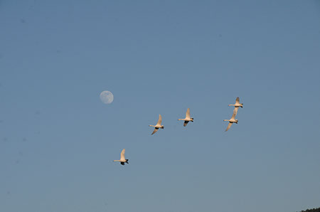 f:id:joojtv:20101219190558j:image