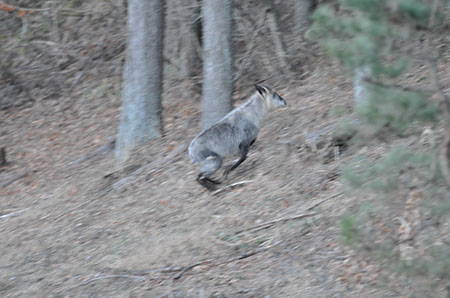 f:id:joojtv:20111218000822j:image