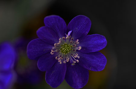 f:id:joojtv:20140223131010j:image f:id:joojtv:20140223131010j:image