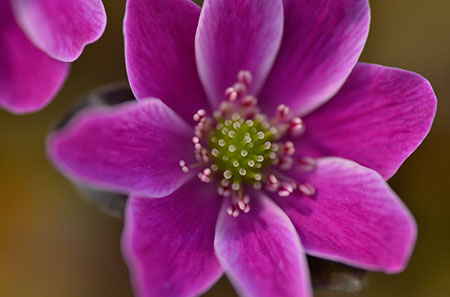 f:id:joojtv:20140223131011j:image f:id:joojtv:20140223131011j:image
