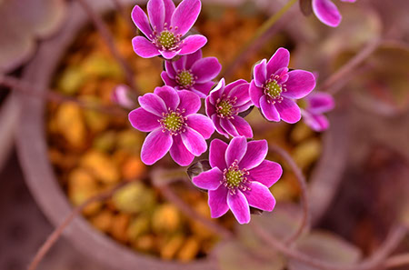 f:id:joojtv:20140223131012j:image f:id:joojtv:20140223131012j:image