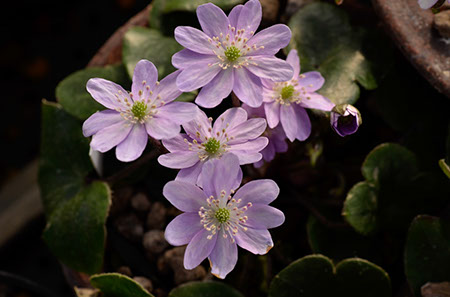 f:id:joojtv:20140228155754j:image f:id:joojtv:20140228155754j:image