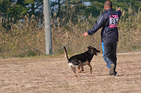 f:id:joojtv:20141018200638j:image f:id:joojtv:20141018200638j:image