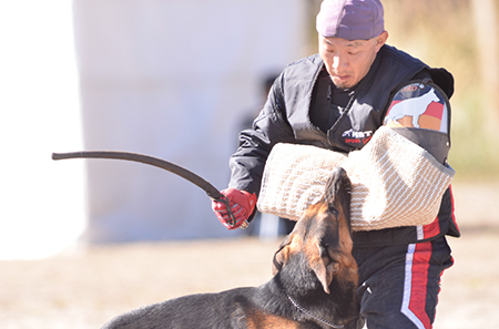 f:id:joojtv:20141018200642j:image f:id:joojtv:20141018200642j:image