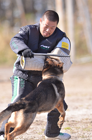f:id:joojtv:20141018200645j:image f:id:joojtv:20141018200645j:image