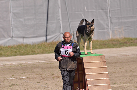 f:id:joojtv:20141018200755j:image f:id:joojtv:20141018200755j:image