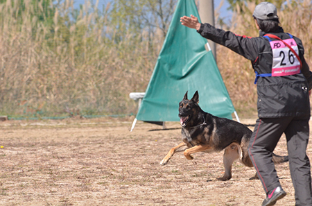 f:id:joojtv:20141018200757j:image f:id:joojtv:20141018200757j:image