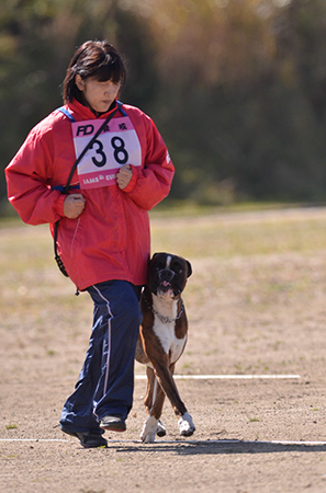 f:id:joojtv:20141018200918j:image f:id:joojtv:20141018200918j:image