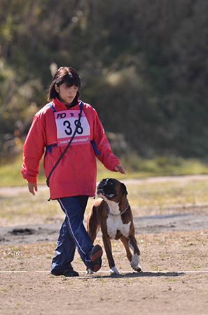 f:id:joojtv:20141018200919j:image f:id:joojtv:20141018200919j:image
