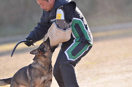f:id:joojtv:20141018201156j:image f:id:joojtv:20141018201156j:image