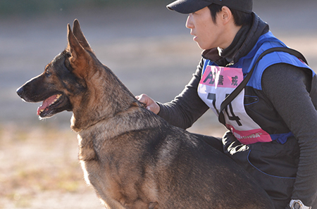 f:id:joojtv:20141018201157j:image f:id:joojtv:20141018201157j:image