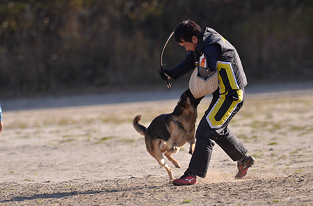f:id:joojtv:20141018201158j:image f:id:joojtv:20141018201158j:image