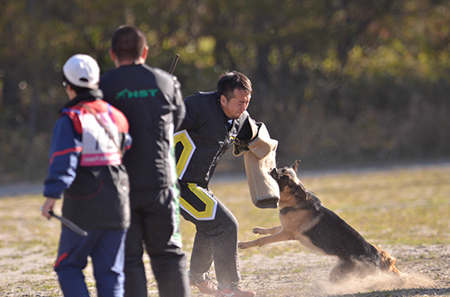 f:id:joojtv:20141018201159j:image f:id:joojtv:20141018201159j:image