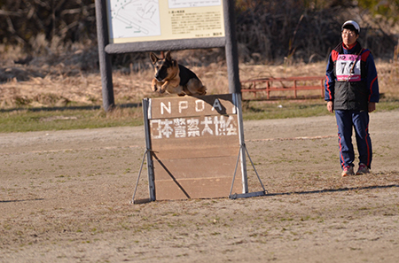 f:id:joojtv:20141018201201j:image f:id:joojtv:20141018201201j:image