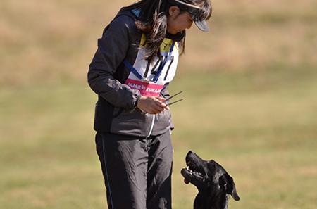 f:id:joojtv:20141018201202j:image f:id:joojtv:20141018201202j:image
