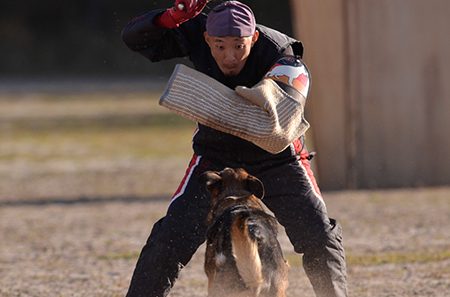 f:id:joojtv:20141018201325j:image f:id:joojtv:20141018201325j:image