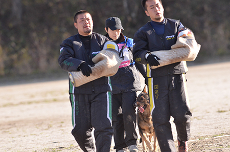 f:id:joojtv:20141018201328j:image f:id:joojtv:20141018201328j:image