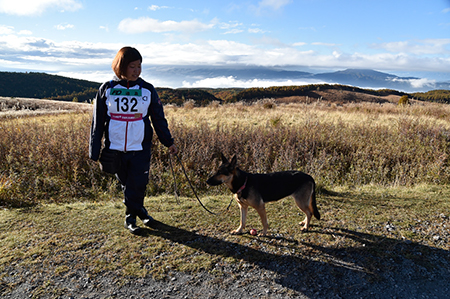 f:id:joojtv:20151017213402j:image f:id:joojtv:20151017213402j:image