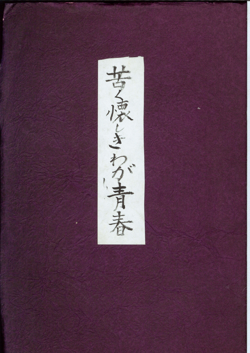 f:id:josaiya:20210410170416j:plain