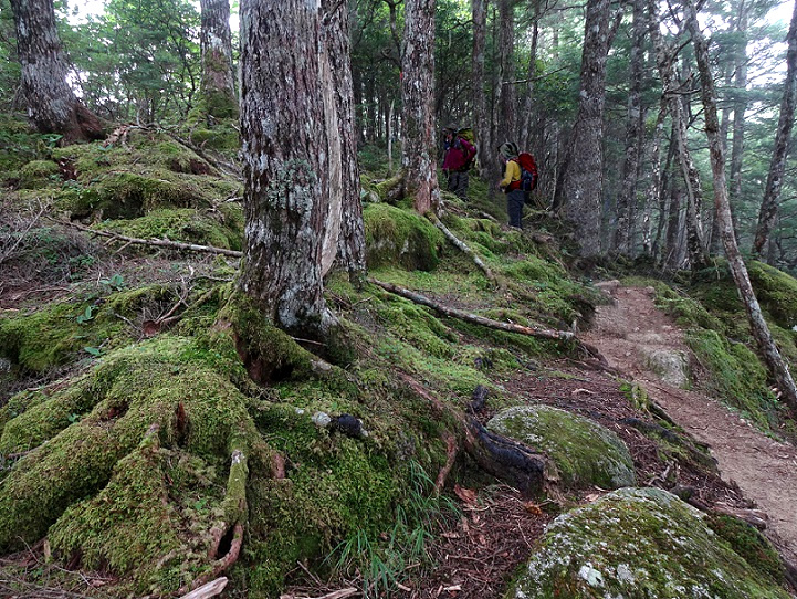f:id:joshi-moutain-guide:20190627111325j:plain