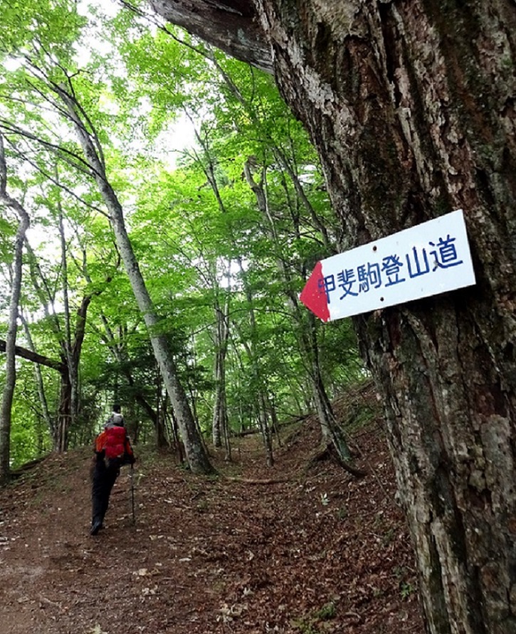 f:id:joshi-moutain-guide:20190627112602j:plain