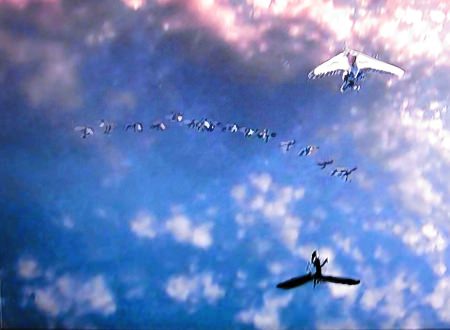 父娘とグース達の壮大な渡りの旅を 映画 グース 小説ア ラ カルト 季節と気分で選ぶ小説 時々映画