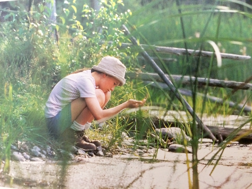 父娘とグース達の壮大な渡りの旅を 映画 グース 小説ア ラ カルト 季節と気分で選ぶ小説 時々映画