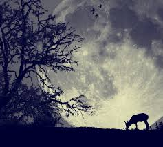 f:id:josou-world:20200827143621p:plain f:id:josou-world:20200827143621p:plain