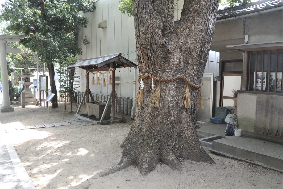 f:id:jotoyumekoi:20191003121812j:plain