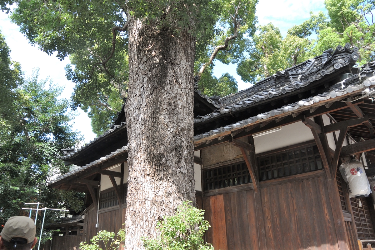 f:id:jotoyumekoi:20191003121828j:plain