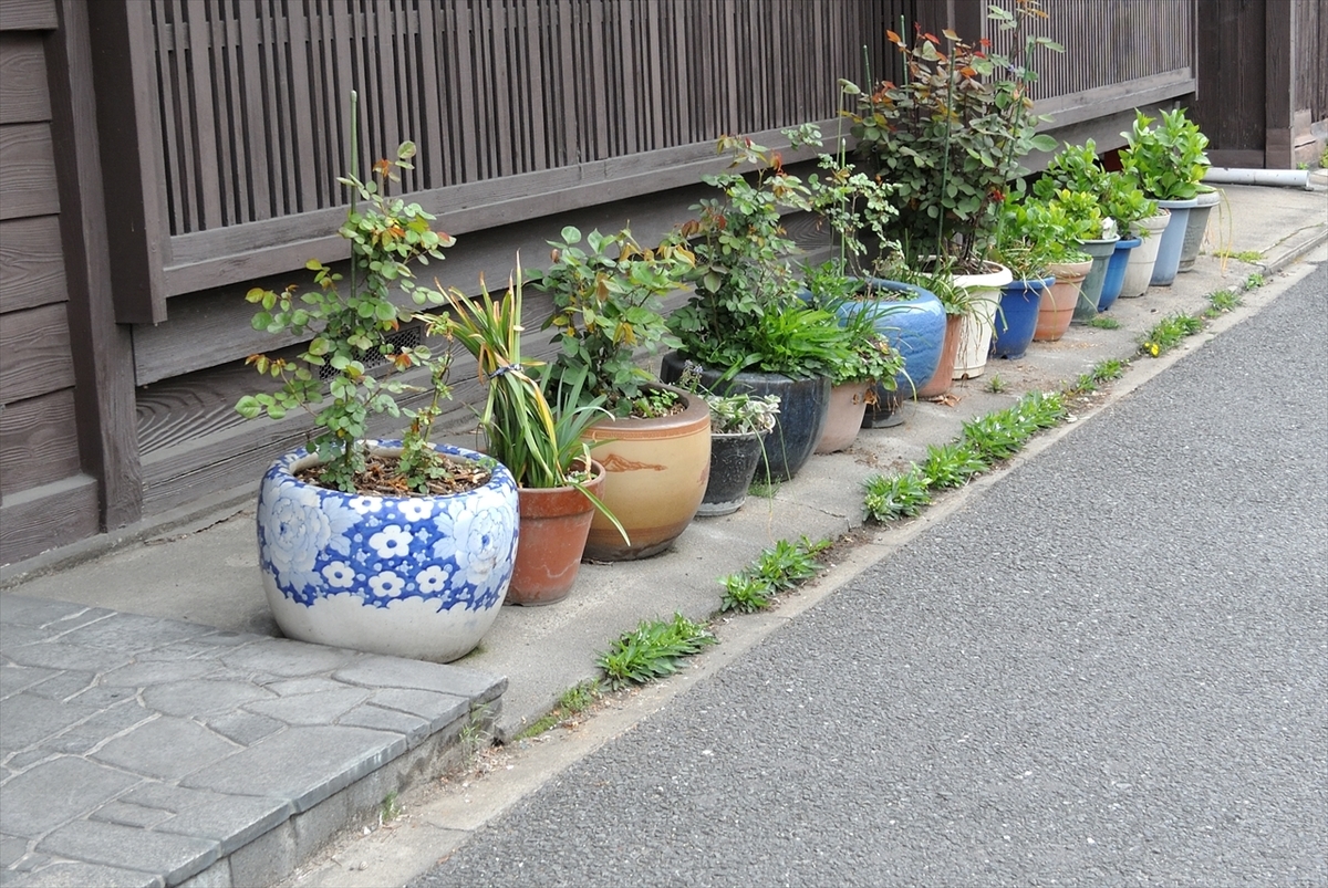 f:id:jotoyumekoi:20200101203359j:plain