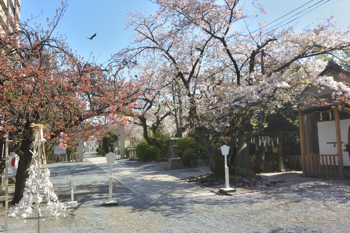 f:id:jotoyumekoi:20200408022725j:plain f:id:jotoyumekoi:20200408022725j:plain