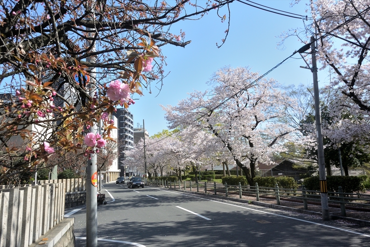 f:id:jotoyumekoi:20200408023025j:plain f:id:jotoyumekoi:20200408023025j:plain
