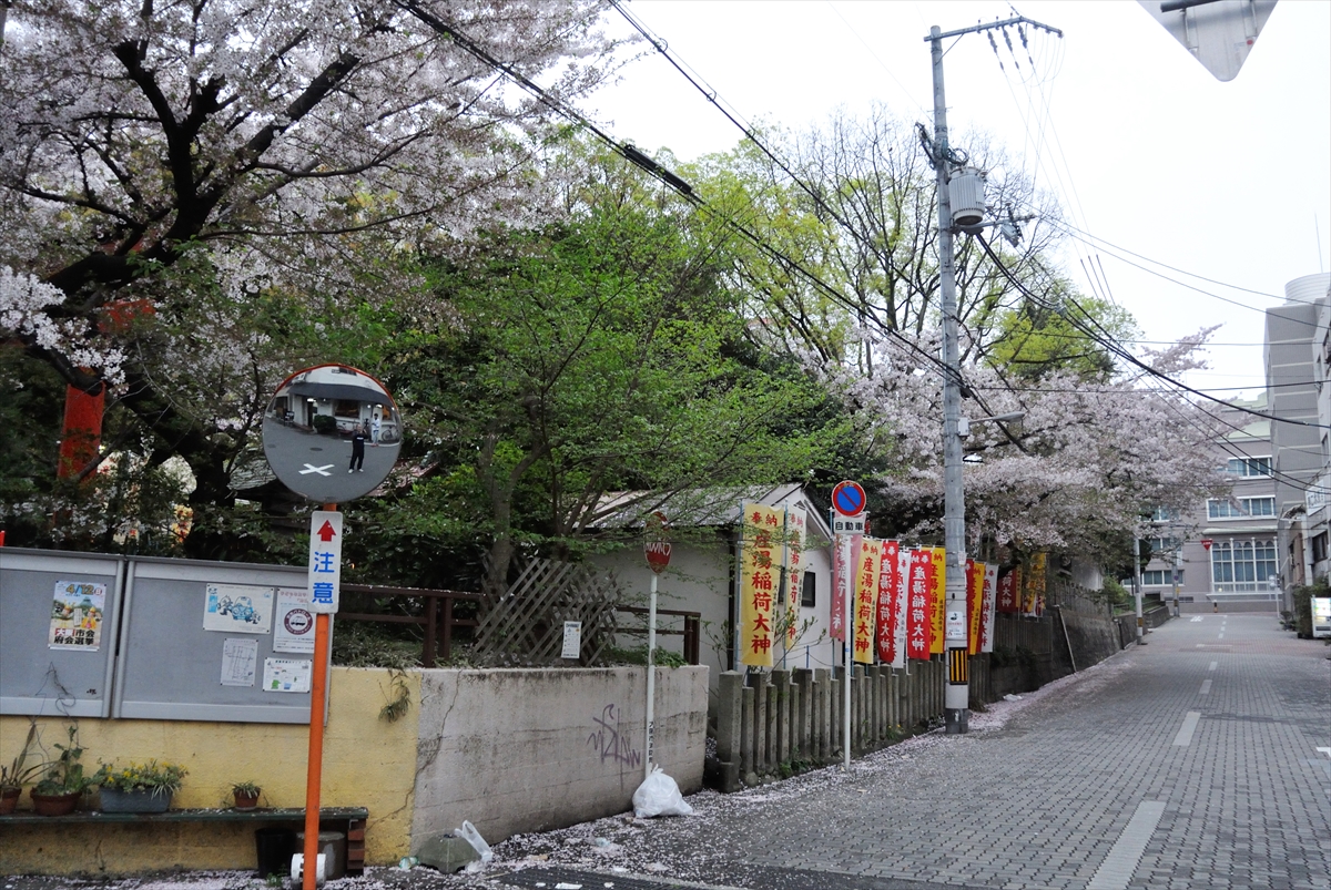 f:id:jotoyumekoi:20200802014429j:plain