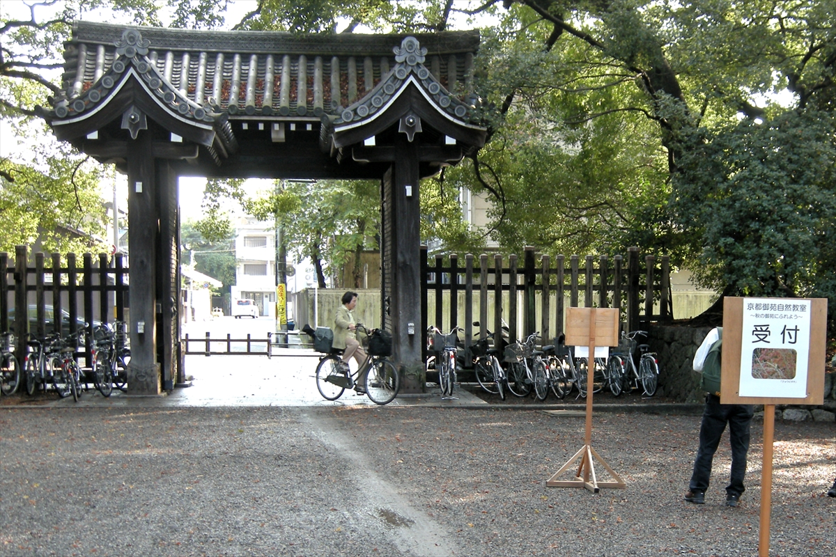f:id:jotoyumekoi:20201206065257j:plain