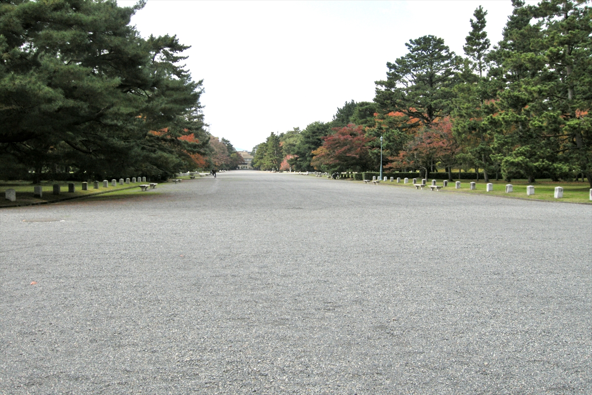 f:id:jotoyumekoi:20201206065335j:plain