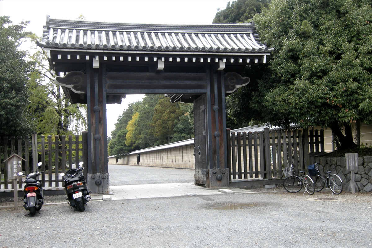 f:id:jotoyumekoi:20201206065347j:plain