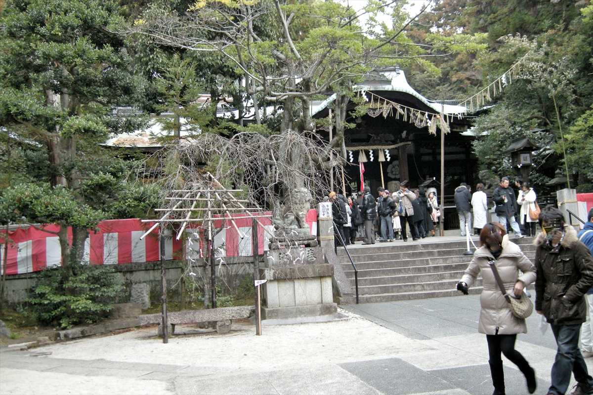 f:id:jotoyumekoi:20210102054803j:plain