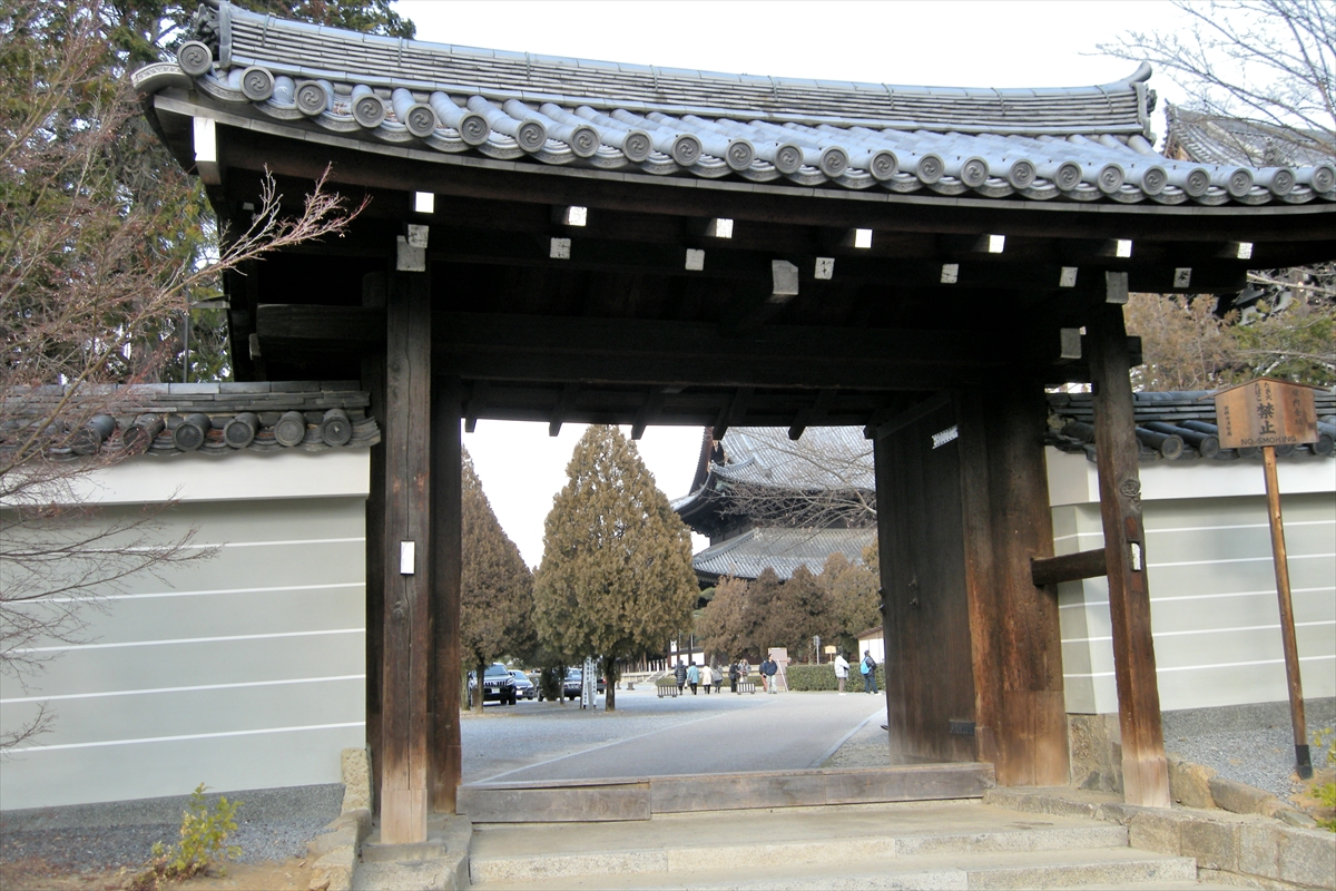 f:id:jotoyumekoi:20210204223701j:plain