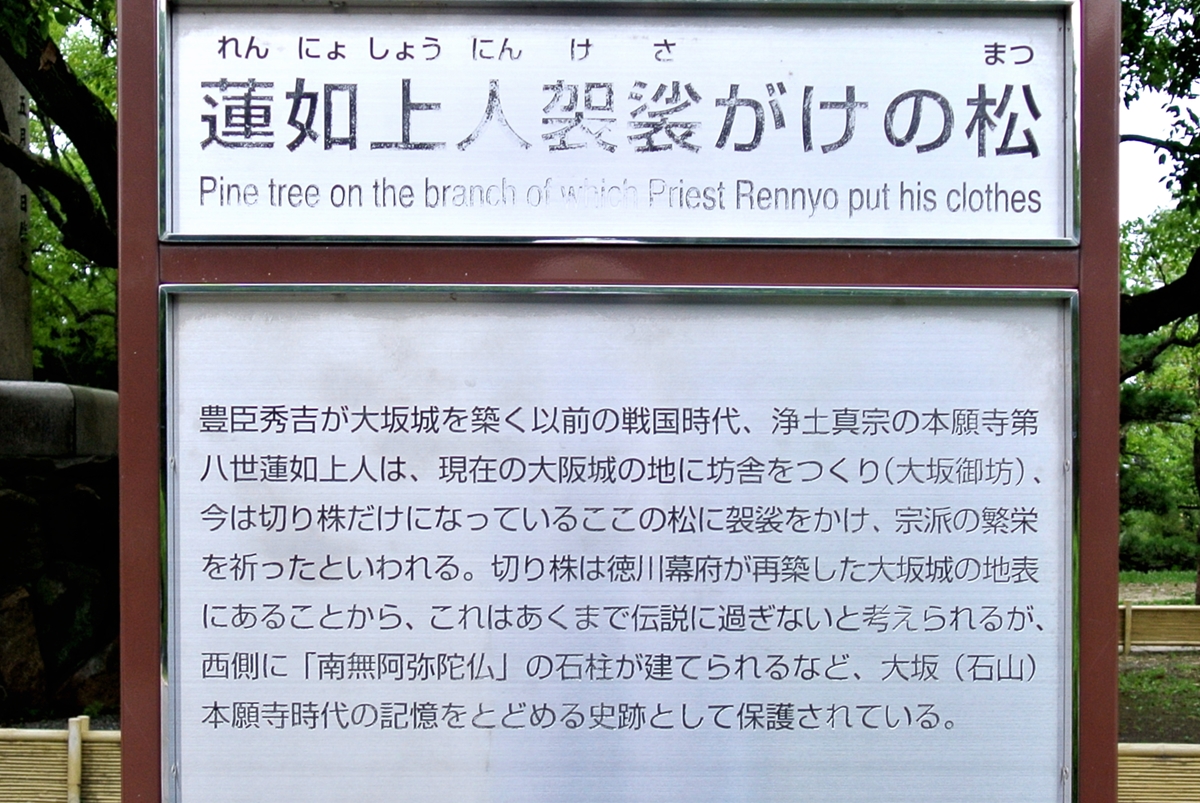 f:id:jotoyumekoi:20210825053841j:plain