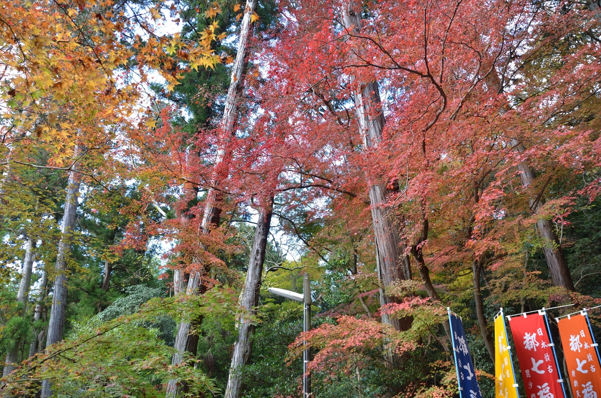 f:id:jotoyumekoi:20211202024904j:plain