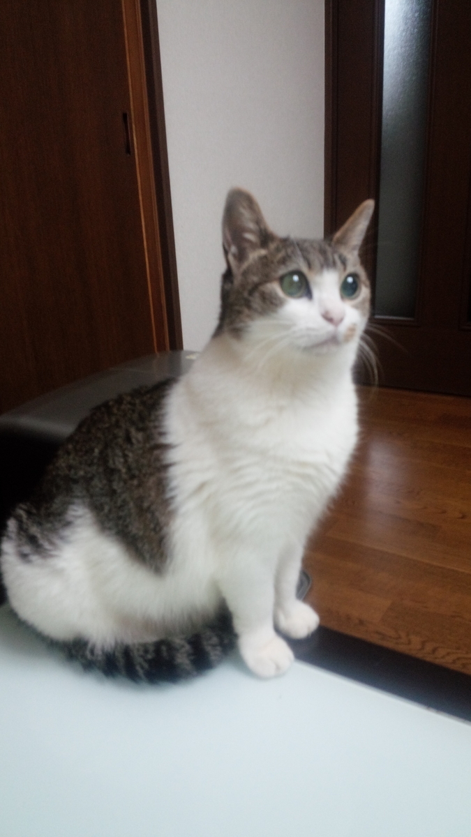 f:id:jouhara:20190923134625j:plain