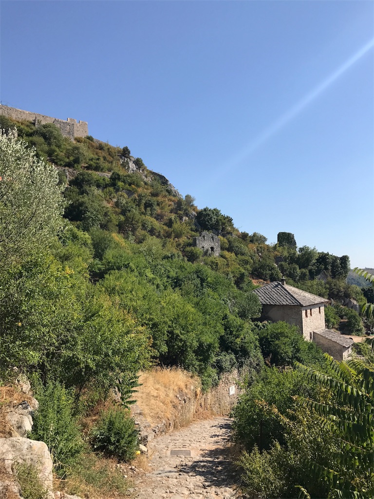 f:id:joujou1754:20170715152415j:image f:id:joujou1754:20170715152415j:image