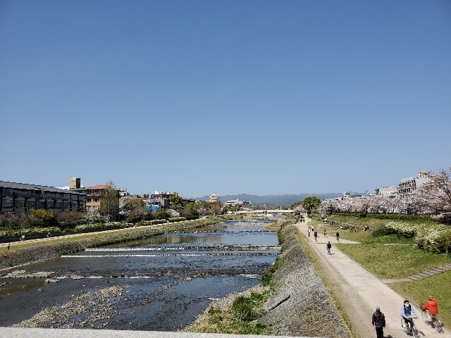 f:id:joujou1754:20210408225221j:image f:id:joujou1754:20210408225221j:image