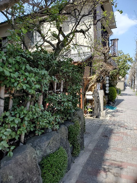 f:id:joujou1754:20210408225558j:image f:id:joujou1754:20210408225558j:image