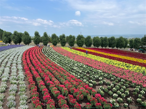 f:id:joujou1754:20260814152025j:image