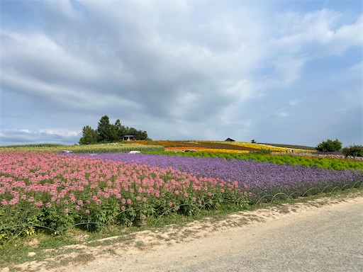 f:id:joujou1754:20260814152038j:image