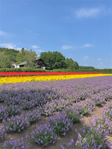 f:id:joujou1754:20260814152044j:image